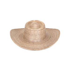 Sepia Wide Brim Western Hat